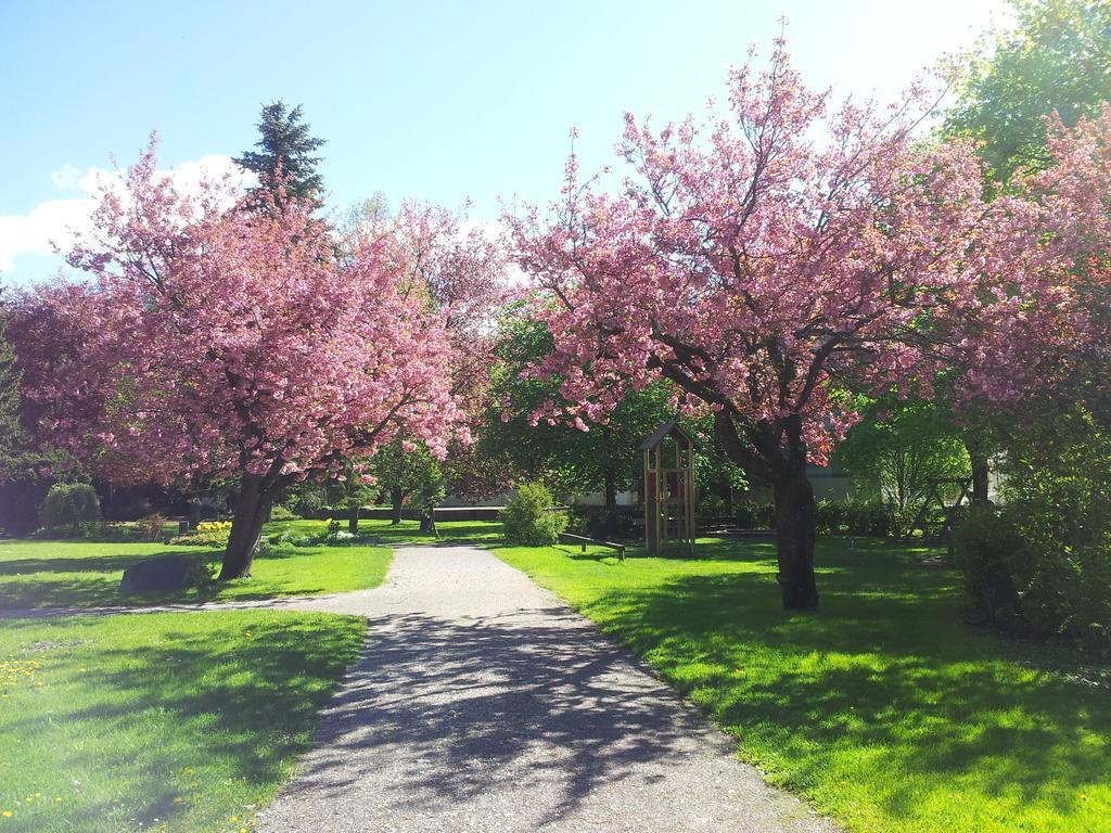 Ferienwohnung Dablander Reutte Dış mekan fotoğraf