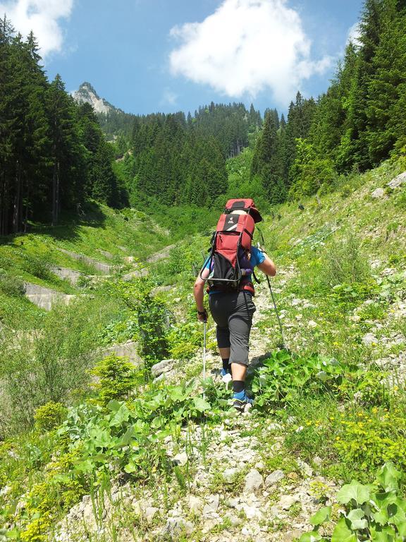 Ferienwohnung Dablander Reutte Dış mekan fotoğraf